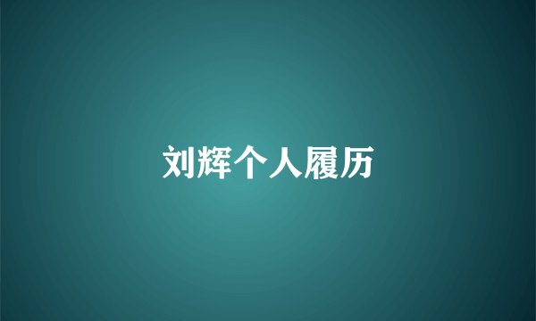 刘辉个人履历