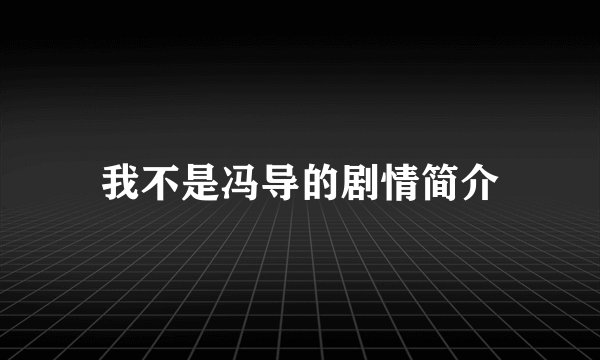 我不是冯导的剧情简介