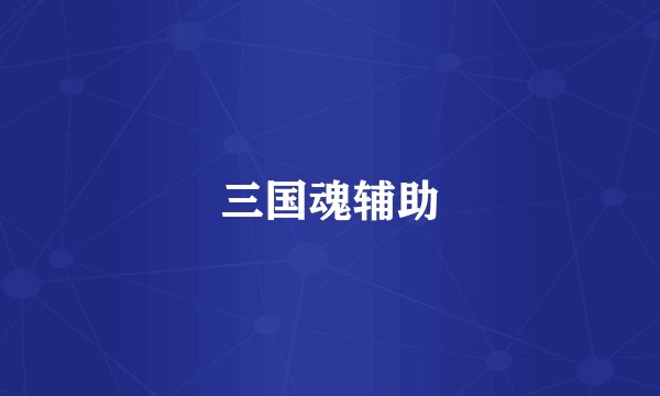 三国魂辅助