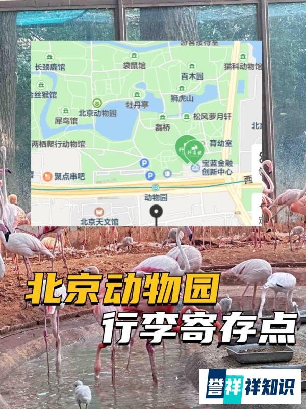 北京动物园行李寄存，真的方便，10元可以寄存一整天