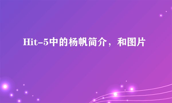 Hit-5中的杨帆简介，和图片