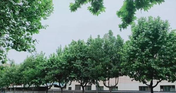 五一假期民宿现“冰火两重天” 这是咋情况？