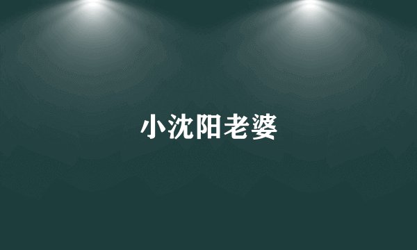 小沈阳老婆