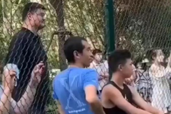 姚明野球场当观众，球场上的人该多有压力？