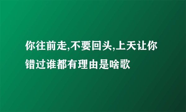你往前走,不要回头,上天让你错过谁都有理由是啥歌