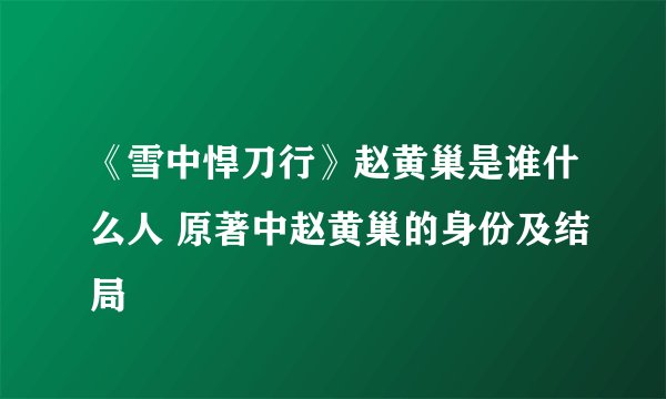 《雪中悍刀行》赵黄巢是谁什么人 原著中赵黄巢的身份及结局