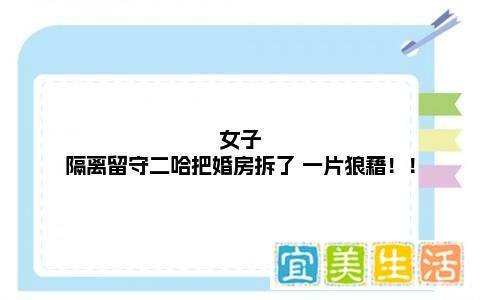 女子隔离留守二哈把婚房拆了 一片狼藉！！