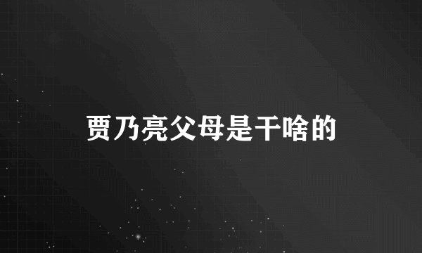 贾乃亮父母是干啥的