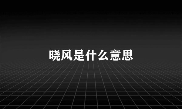 晓风是什么意思