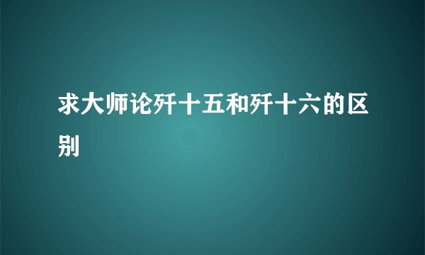 求大师论歼十五和歼十六的区别