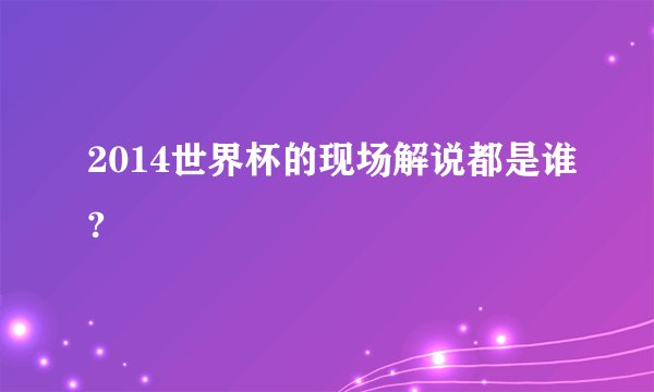 2014世界杯的现场解说都是谁?