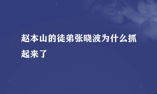 赵本山的徒弟张晓波为什么抓起来了