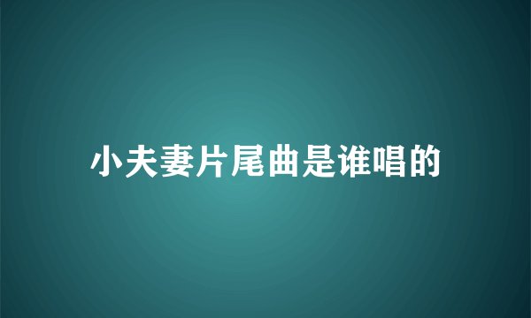 小夫妻片尾曲是谁唱的