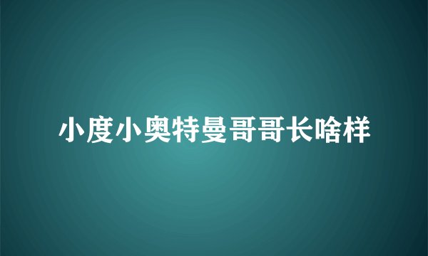 小度小奥特曼哥哥长啥样