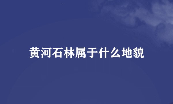 黄河石林属于什么地貌