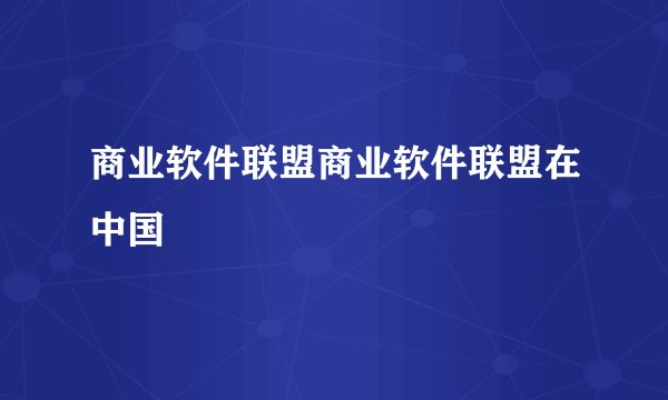 商业软件联盟商业软件联盟在中国