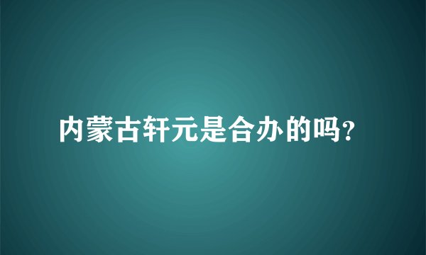 内蒙古轩元是合办的吗？