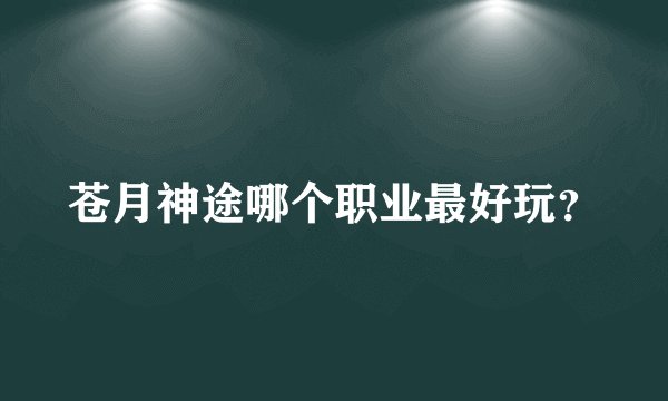 苍月神途哪个职业最好玩？