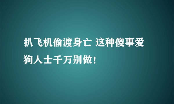 扒飞机偷渡身亡 这种傻事爱狗人士千万别做！