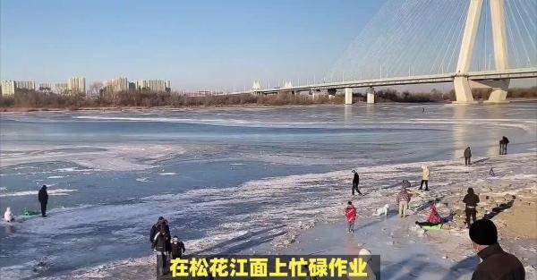 我常用的几款免费AI生成视频平台