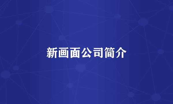 新画面公司简介
