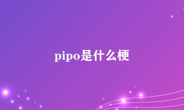 pipo是什么梗