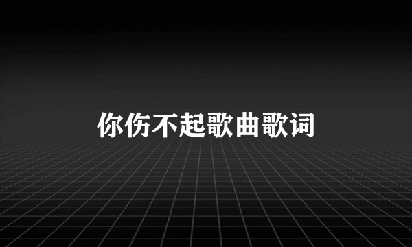 你伤不起歌曲歌词