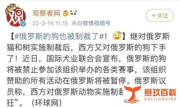 俄罗斯的狗也被制裁了？！哈士奇：我拆了你全家