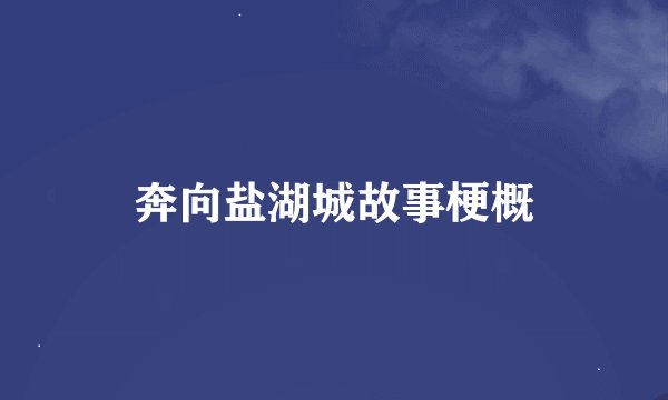 奔向盐湖城故事梗概