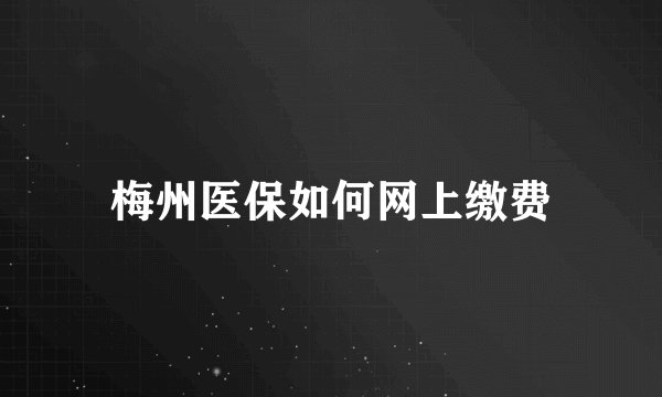 梅州医保如何网上缴费
