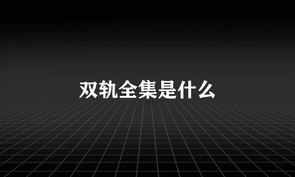 双轨全集是什么