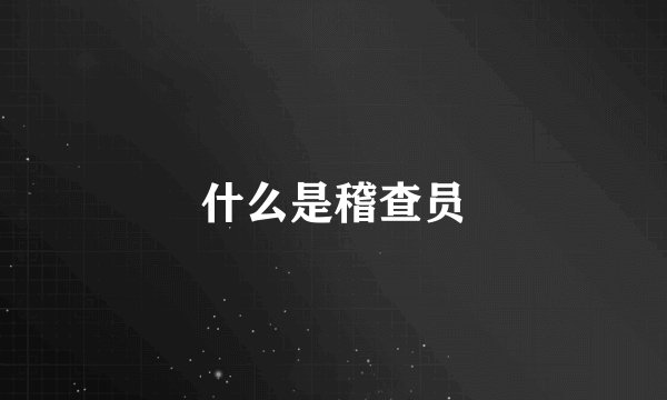 什么是稽查员
