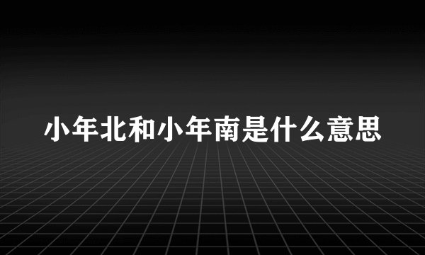 小年北和小年南是什么意思