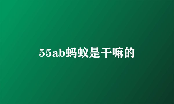 55ab蚂蚁是干嘛的