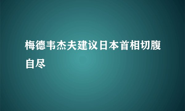 梅德韦杰夫建议日本首相切腹自尽