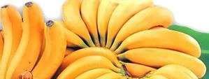 如何区分香蕉、秋葵、菠萝蜜、黄瓜和丝瓜呢？