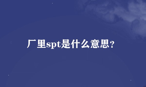 厂里spt是什么意思？