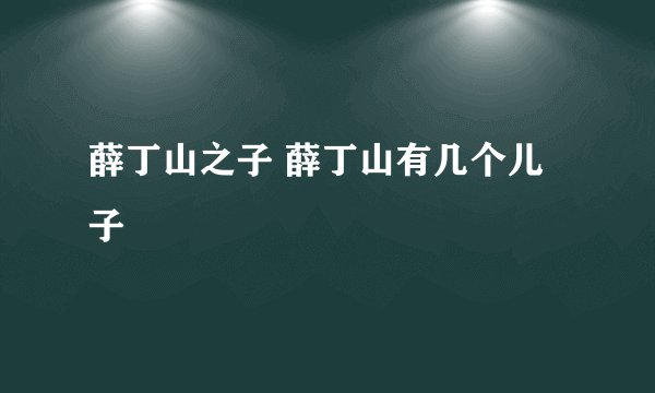 薛丁山之子 薛丁山有几个儿子