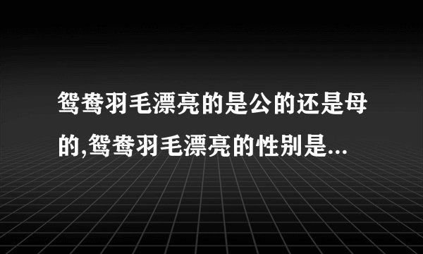 鸳鸯羽毛漂亮的是公的还是母的,鸳鸯羽毛漂亮的性别是公的还是母的呢？