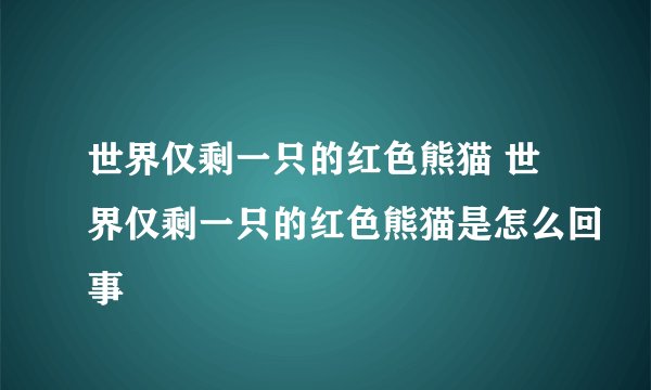 世界仅剩一只的红色熊猫 世界仅剩一只的红色熊猫是怎么回事