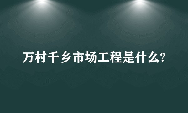万村千乡市场工程是什么?