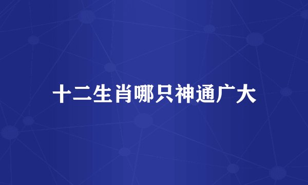 十二生肖哪只神通广大