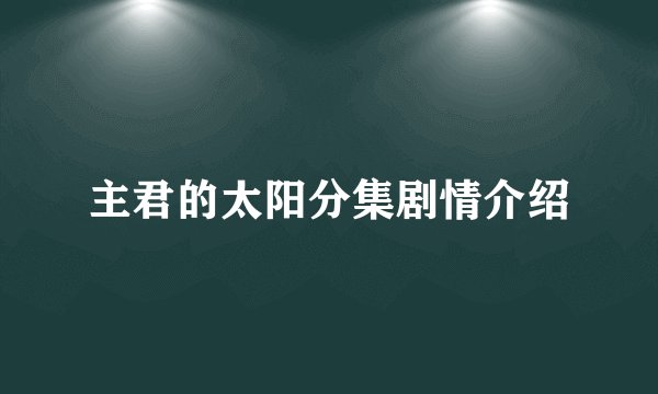 主君的太阳分集剧情介绍