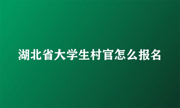 湖北省大学生村官怎么报名