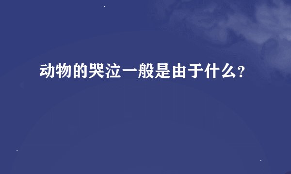 动物的哭泣一般是由于什么？
