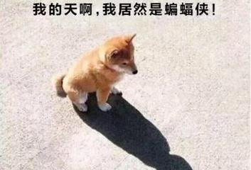 2021年的第200天丨你是在晒成果还是在立flag