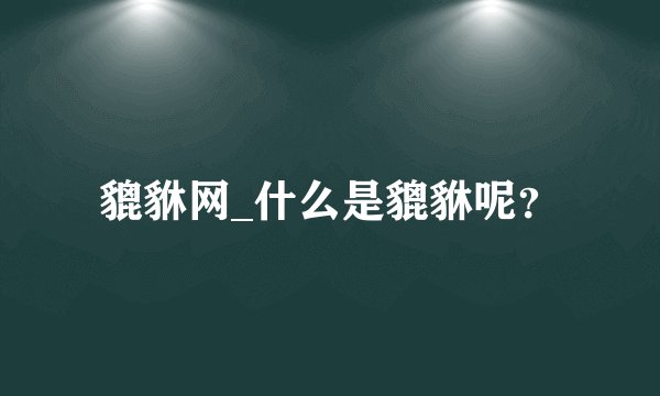 貔貅网_什么是貔貅呢？