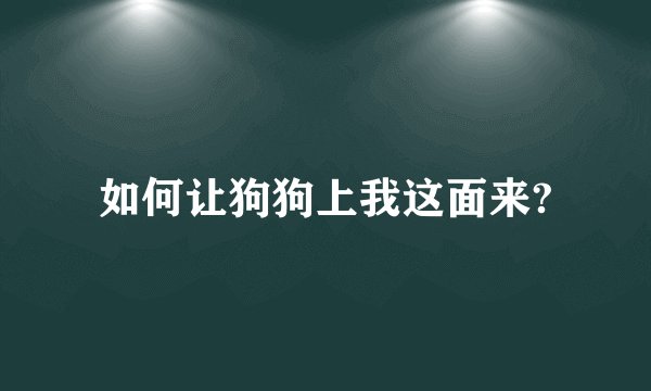 如何让狗狗上我这面来?