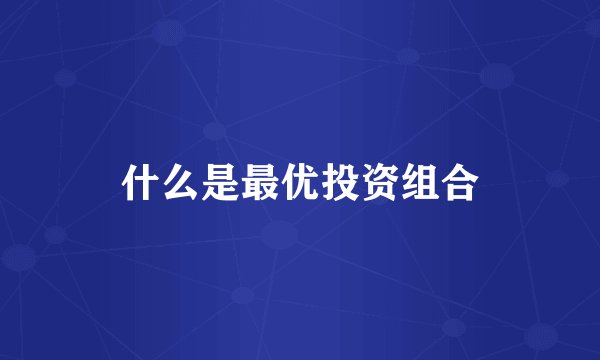 什么是最优投资组合