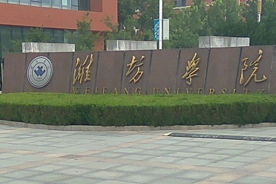 潍坊学院录取分数线2023专科生